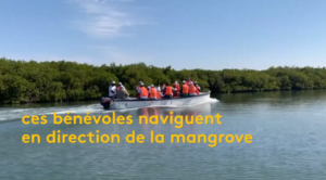 Sénégal une opération de nettoyage pour sauver une mangrove
