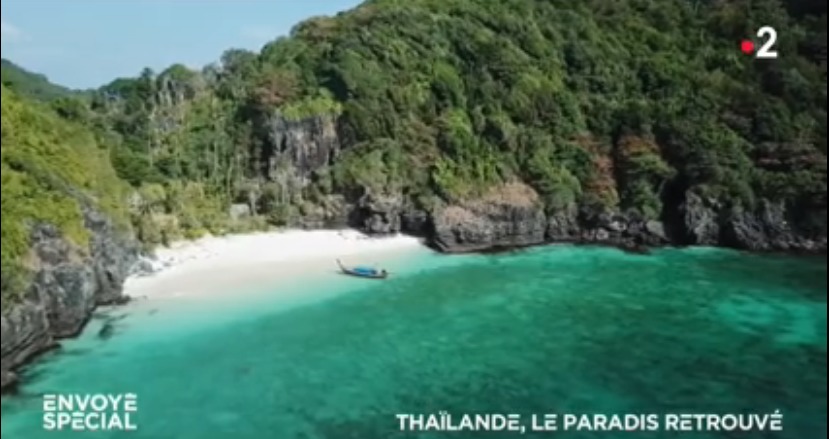 les tortues sont de retour sur les plages de Thaïlande