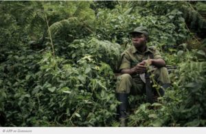 RDC Plus grande biodiversité d'Afrique
