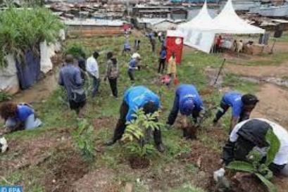 Le Rwanda veut planter 43 millions d’arbres