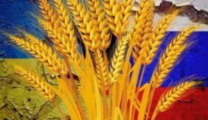 Le cours du blé atteint un niveau historique