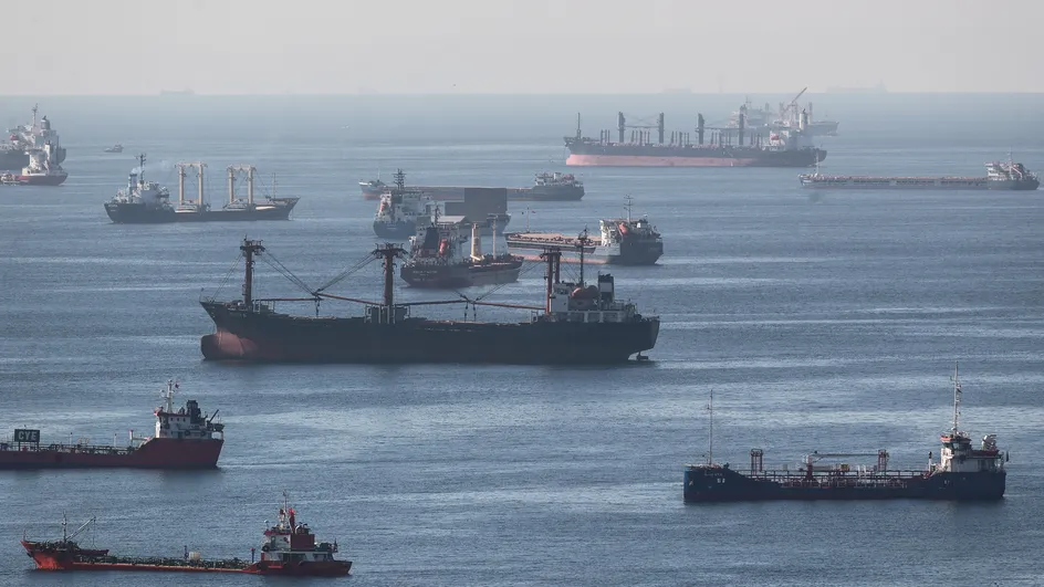 Des navires de transport chargés de céréales en Mer de Marmara