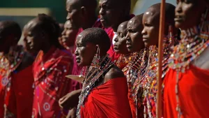 Tanzanie les Massaïs chassés de leurs terres