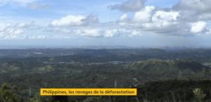 Philippines la déforestation progresse